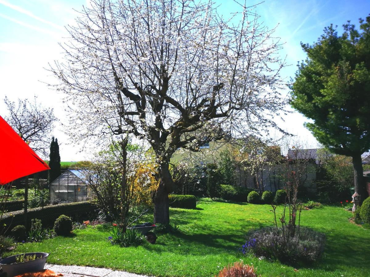 Ferienwohnung Varmissen Nah Bei Goettingen Dransfeld Εξωτερικό φωτογραφία